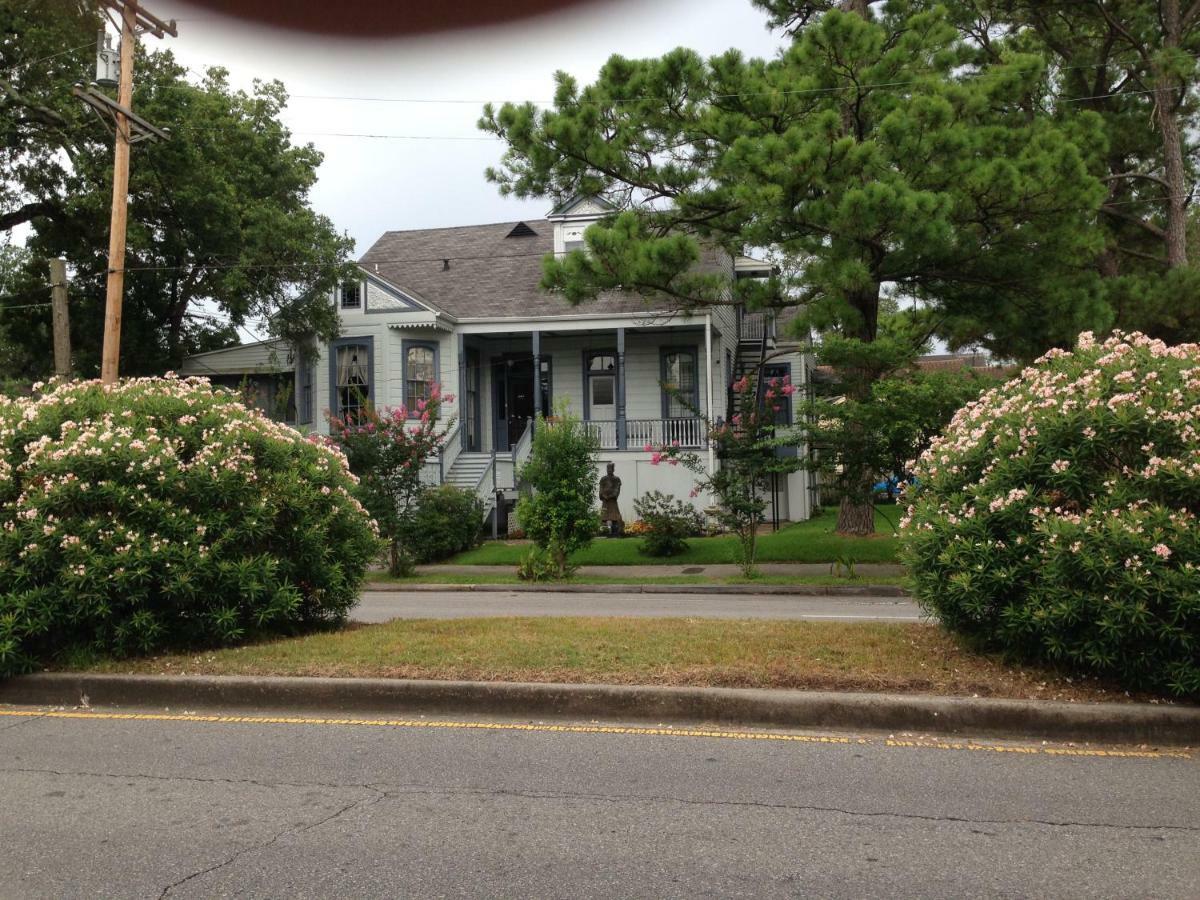 Oakview Bed And Breakfast 新奥尔良 外观 照片